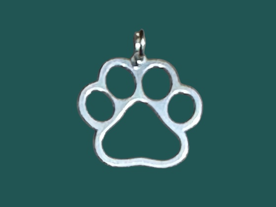 PATINHA DE DOG